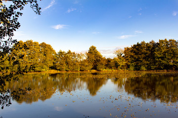 autumn landscape with lake and trees