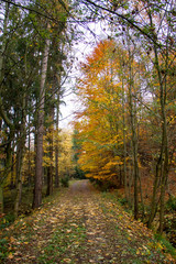 Path in autumn. Czech Republic.