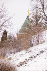 Fototapety na wymiar - Fototapeta24.pl