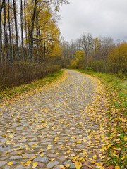Naklejka na ściany i meble an old paved curved road, covered with yellow leaves in the fall