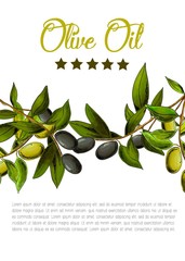 Vector template with black and green olives on white background. 