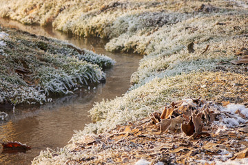 Forest stream in winter