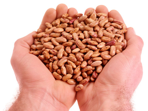 HANDFUL OF CRAB EYE BEANS