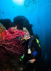 Fototapete Woman Scuba Diver explores coral reef. © frantisek hojdysz