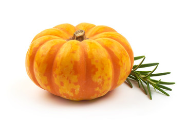 Mini orange decorative pumpkin, isolated on a white background. Close-up