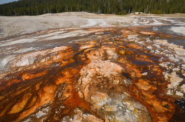 UPPER GEYSER BASIN YELLOWSTONE NATIONAL PARK (WYOMING) USA
