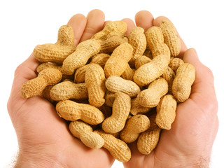 HANDFUL OF MONKEY NUTS