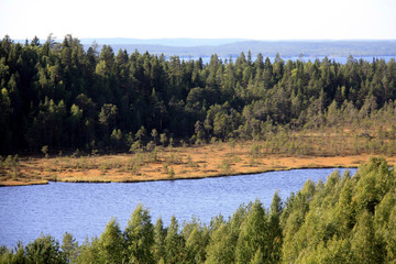 Obraz premium Forest and lake expanses of Karelia