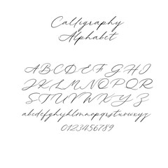 Hand drawn typeface set isolated on white. Brush painted characters: lowercase and uppercase. Vector font. Typography alphabet for your designs: branding, card, wedding invitation. Modern calligraphy