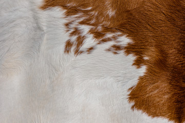 Woolen blanket background
