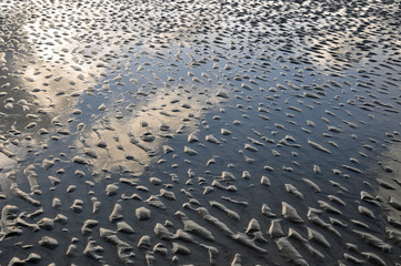 Wattenmeer Wasser Spiegelung Wellenmuster
