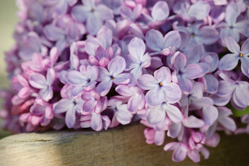 Lilac flowers on the wooden table under the sun