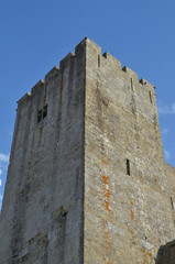 Fototapeta na wymiar Castelo Palmela Tower 2