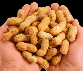 HANDFUL OF MONKEY NUTS