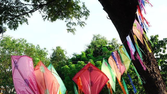 4K Kite Nice Color Red Orange Green Pink Wind Tree Nature Backgound  Public.