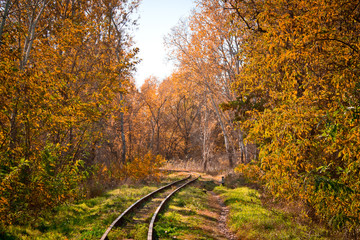 Fototapeta na wymiar railway in the autumn forest