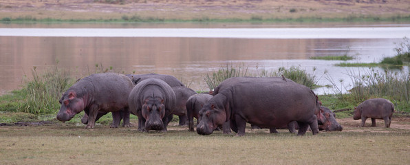 Amboseli National Park
