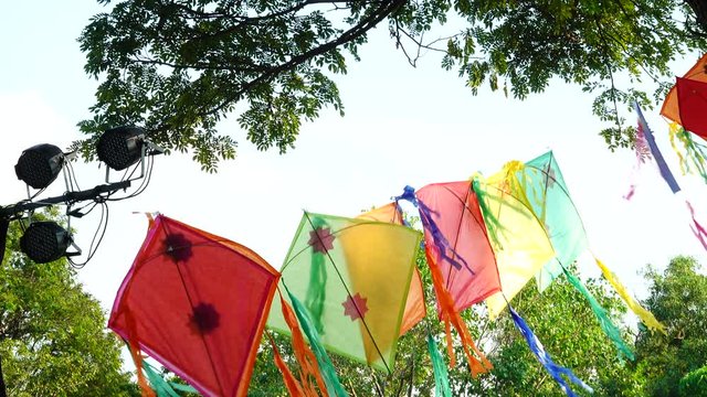 4K Kite Nice Color Red Orange Green Pink Wind Tree Nature Backgound  Public.