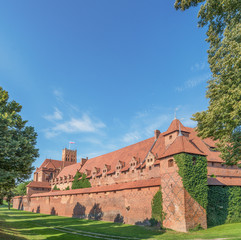 Fototapeta premium Bricks wall and tower in sunny day, Malbork, Poland