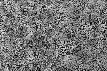 Venetian stucco for backgrounds