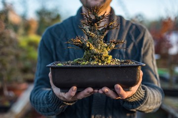 Jeune homme bonsaï artiste holding pot avec bonsaï