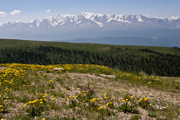 Altai mountains