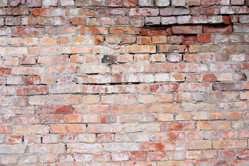 brick wall