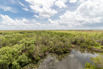 everglades national park