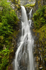 Fototapeta na wymiar Risco waterfall - madeira island