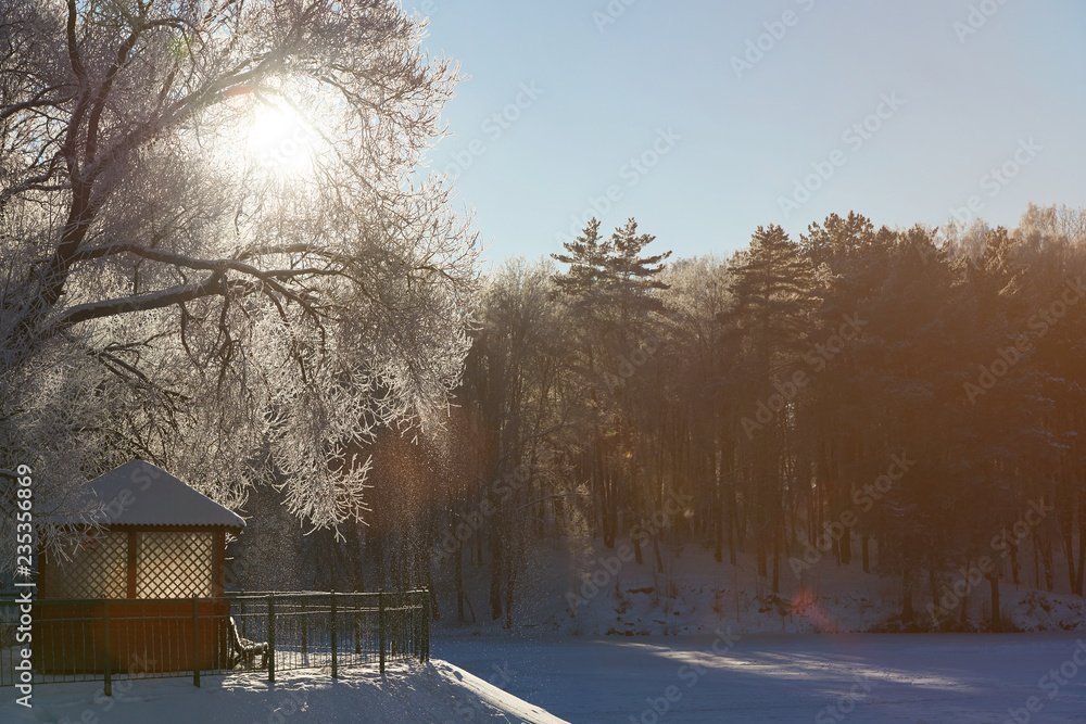 Wall mural freezing winter theme background