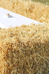 sheaf of hay on the farm