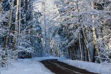 Winter forest on a sunny day. Automobile road. Landscape in the forest on a snowy morning. New Year winter forest.