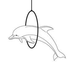 Fototapeta premium Dolphin_2