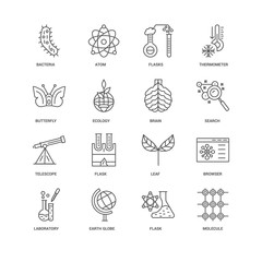 16 linear icons related to Molecule, Ecology, Bacteria, undefine