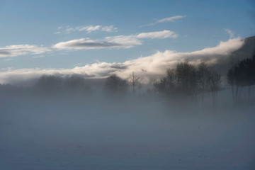 Winterlandschaft im Nebel