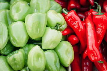 Background from a peppers. heap of red hot chilli and green peppers close up. beautiful shiny. texture of heap of peppers, overhead view. products color contrast.