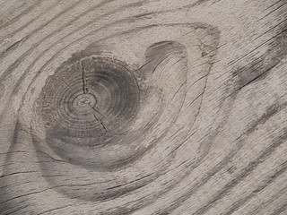 Fototapeta na wymiar Large timber knot on the faded board. Weathered wooden texture.