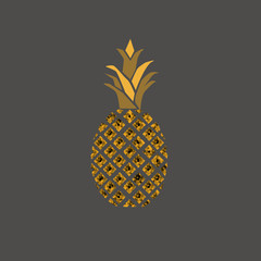 illustration of a pineapple
