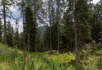 Sommer am Nassfeld