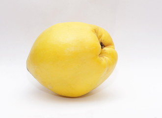 Ripe quince on a white background