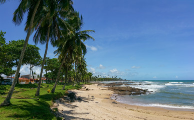 Summer. Tropical beach with coconut trees