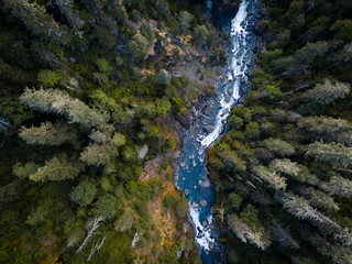 Fototapeten Aerial drone view looking down at a pristine blue mountain river running through the tall trees of the forest © SIX60SIX