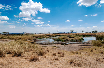 Ngorogoro Valley in Tanzania