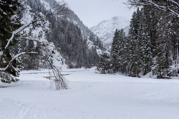 Winter in Kranjska Gora