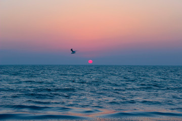 Fototapeta premium Beautiful Nature Background. Ocean View. Wonderful Sunrise. Sea Background. Nature, Travel Concept. 