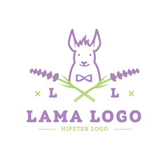 Lavender lama hipster logo template, outline, flat vector illustration