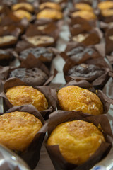 Several Types of Muffins Pastries arranged in Linear order on a Table