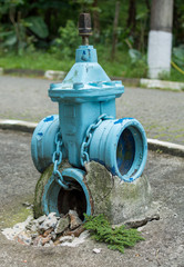 Blue hydrant
