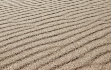 Sand on the beach as a background or texture -  Sand pattern formed by the wind