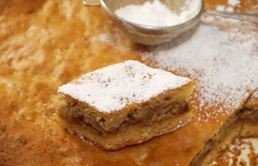 Fototapeta na wymiar Home based bakery. Homemade biscuit cake with apple powdered with ground sugar